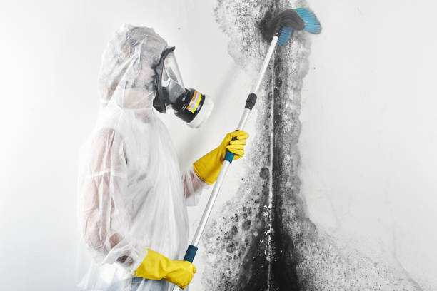 Dehumidification Services in Dumas, AR