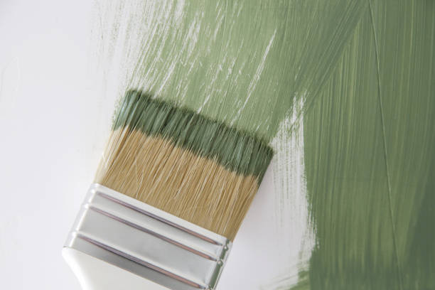 Best Mold Damage Restoration  in Dumas, AR