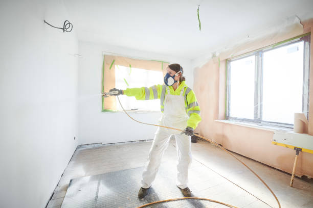 Best Black Mold Removal  in Dumas, AR
