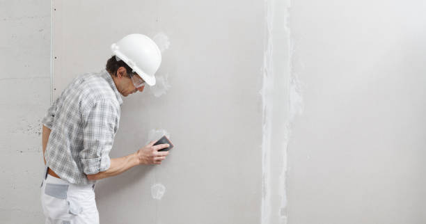 Best Asbestos and Lead Testing During Mold Inspection  in Dumas, AR