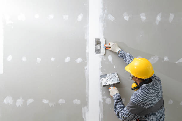 Environmental Consulting for Mold Prevention in Dumas, AR