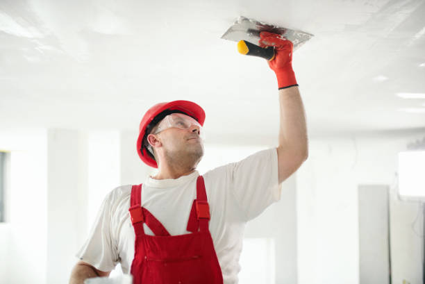 Best Post-Construction Mold Inspection  in Dumas, AR
