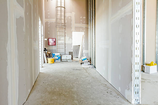 Best Residential Mold Inspection & Testing  in Dumas, AR